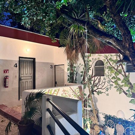 Hotel Ha Garden Gallery - 5Th Avenue 普拉亚卡门 外观 照片