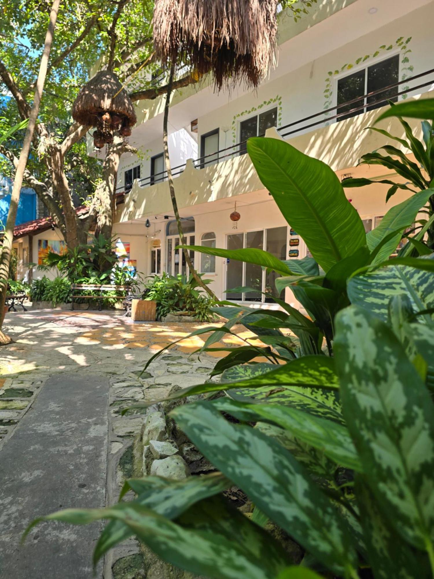 Hotel Ha Garden Gallery - 5Th Avenue 普拉亚卡门 外观 照片