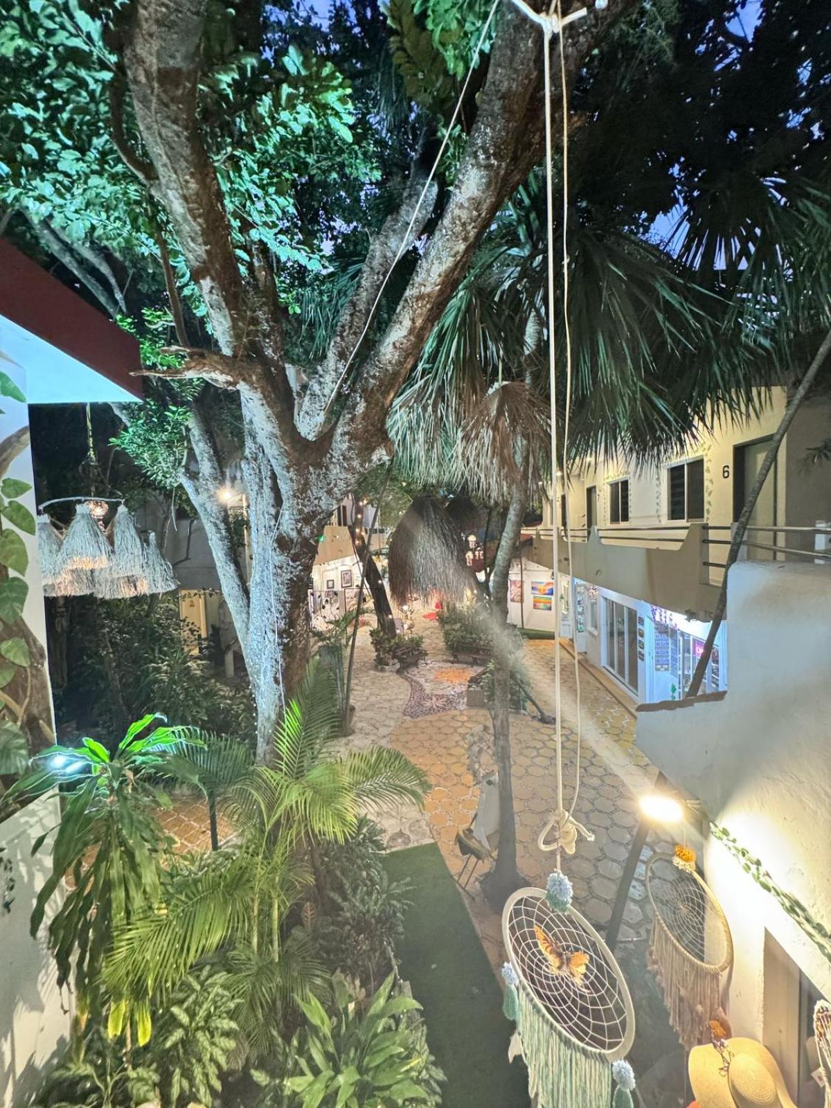 Hotel Ha Garden Gallery - 5Th Avenue 普拉亚卡门 外观 照片