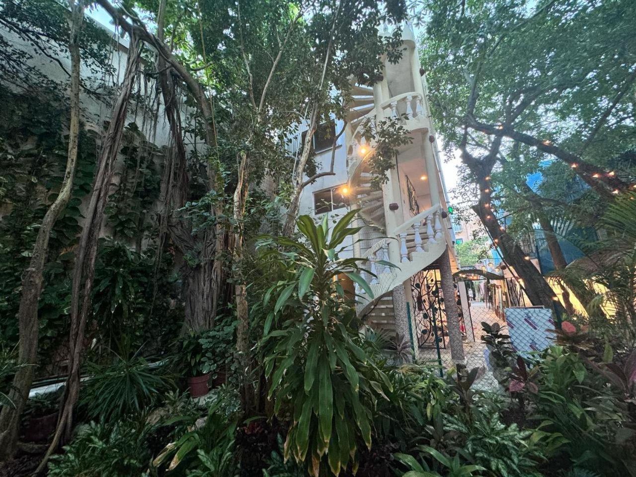 Hotel Ha Garden Gallery - 5Th Avenue 普拉亚卡门 外观 照片