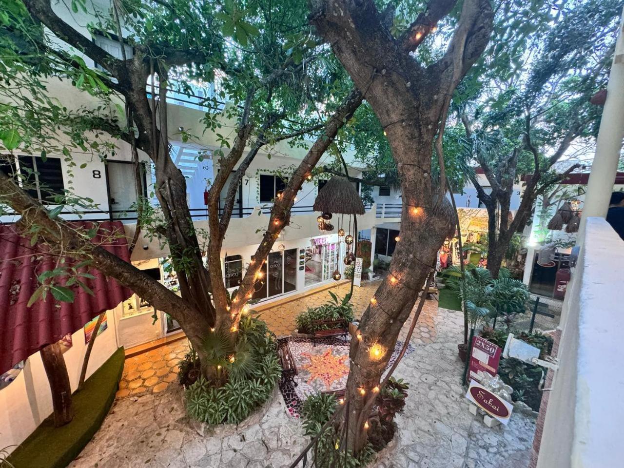 Hotel Ha Garden Gallery - 5Th Avenue 普拉亚卡门 外观 照片