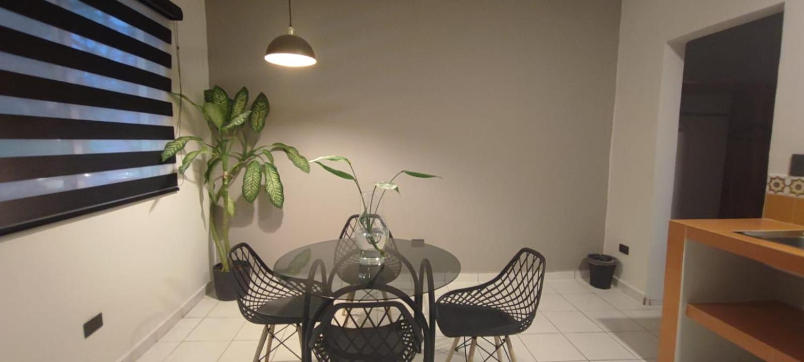 Hotel Ha Garden Gallery - 5Th Avenue 普拉亚卡门 外观 照片