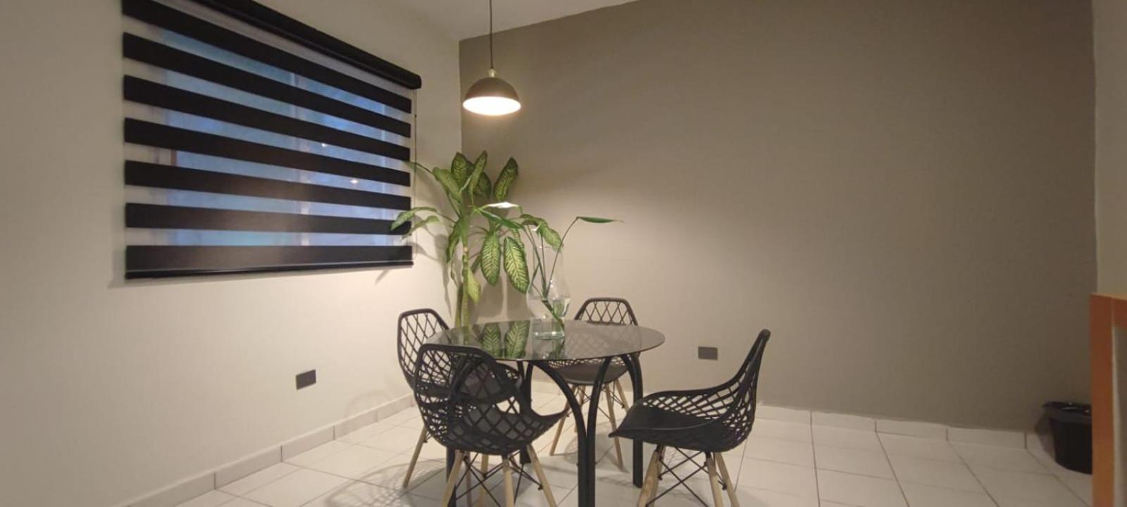 Hotel Ha Garden Gallery - 5Th Avenue 普拉亚卡门 外观 照片