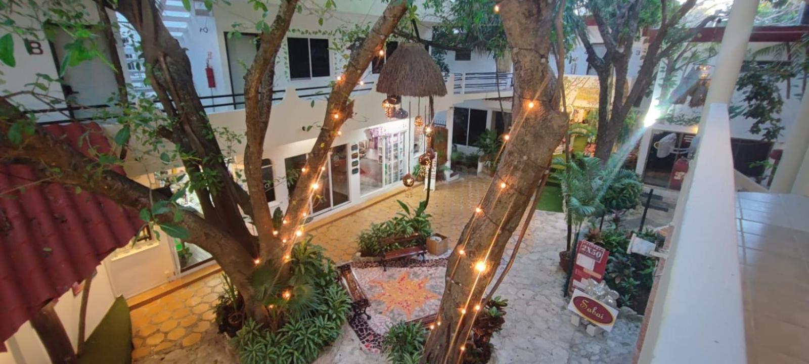Hotel Ha Garden Gallery - 5Th Avenue 普拉亚卡门 外观 照片