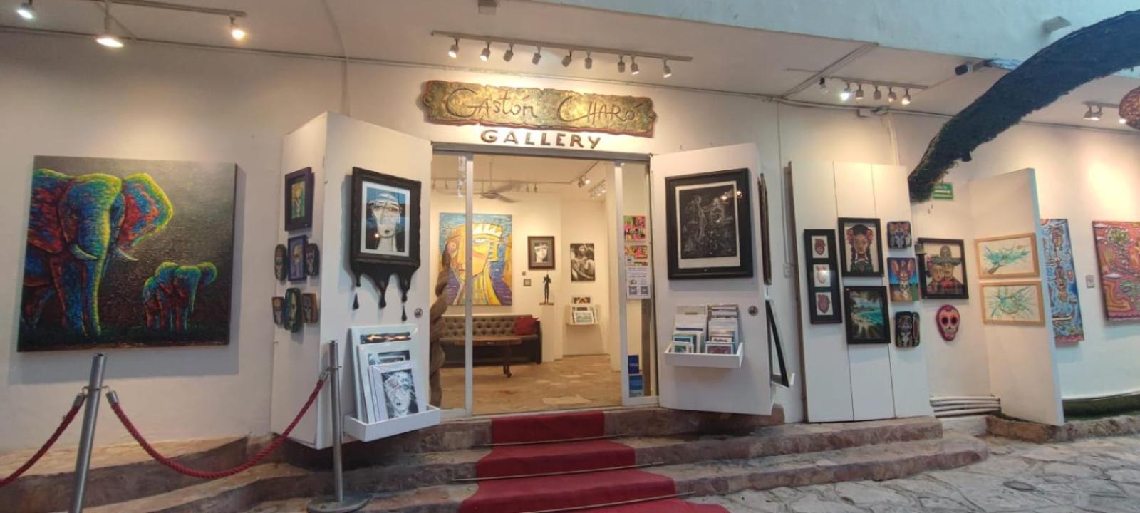 Hotel Ha Garden Gallery - 5Th Avenue 普拉亚卡门 外观 照片