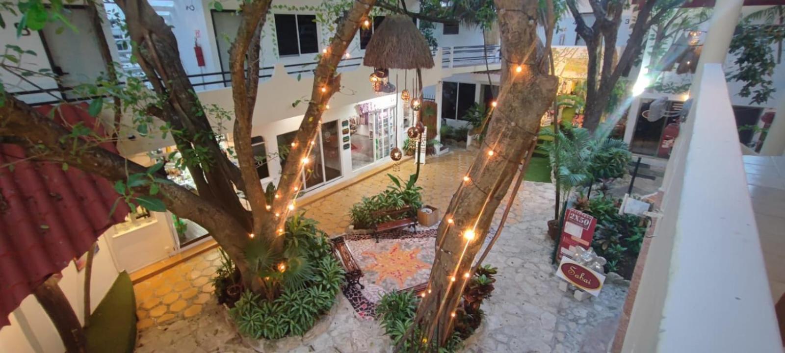 Hotel Ha Garden Gallery - 5Th Avenue 普拉亚卡门 外观 照片