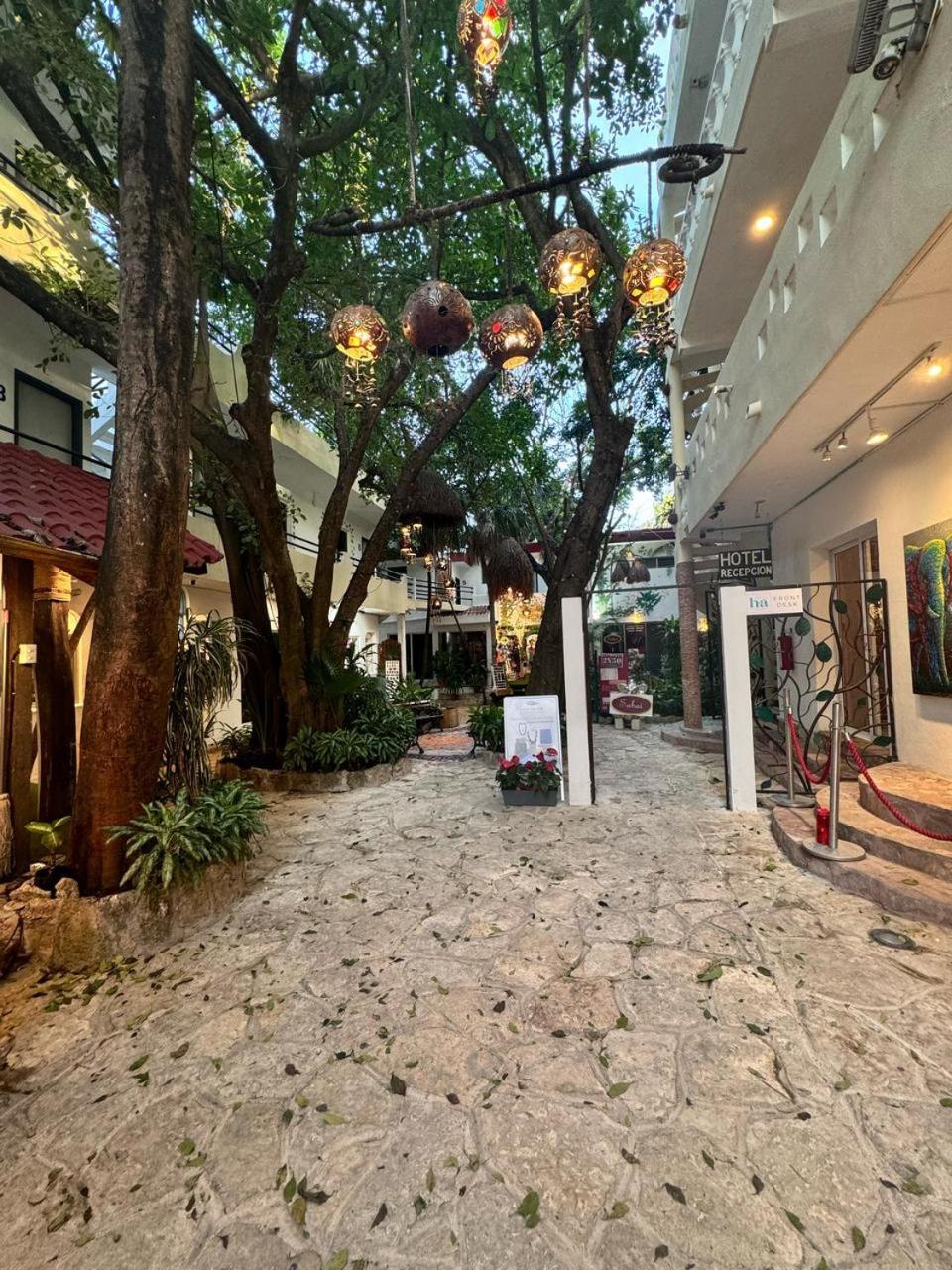 Hotel Ha Garden Gallery - 5Th Avenue 普拉亚卡门 外观 照片