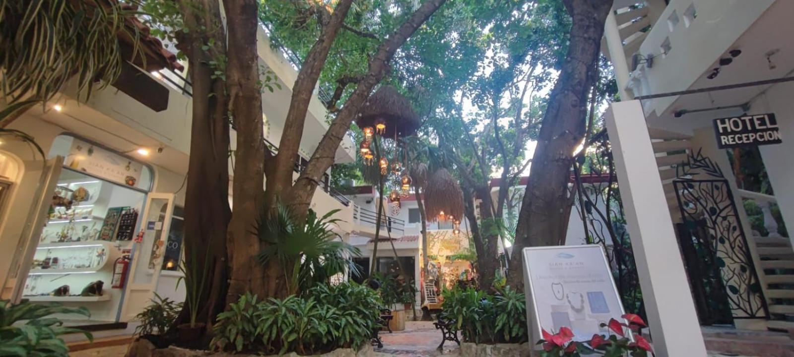 Hotel Ha Garden Gallery - 5Th Avenue 普拉亚卡门 外观 照片