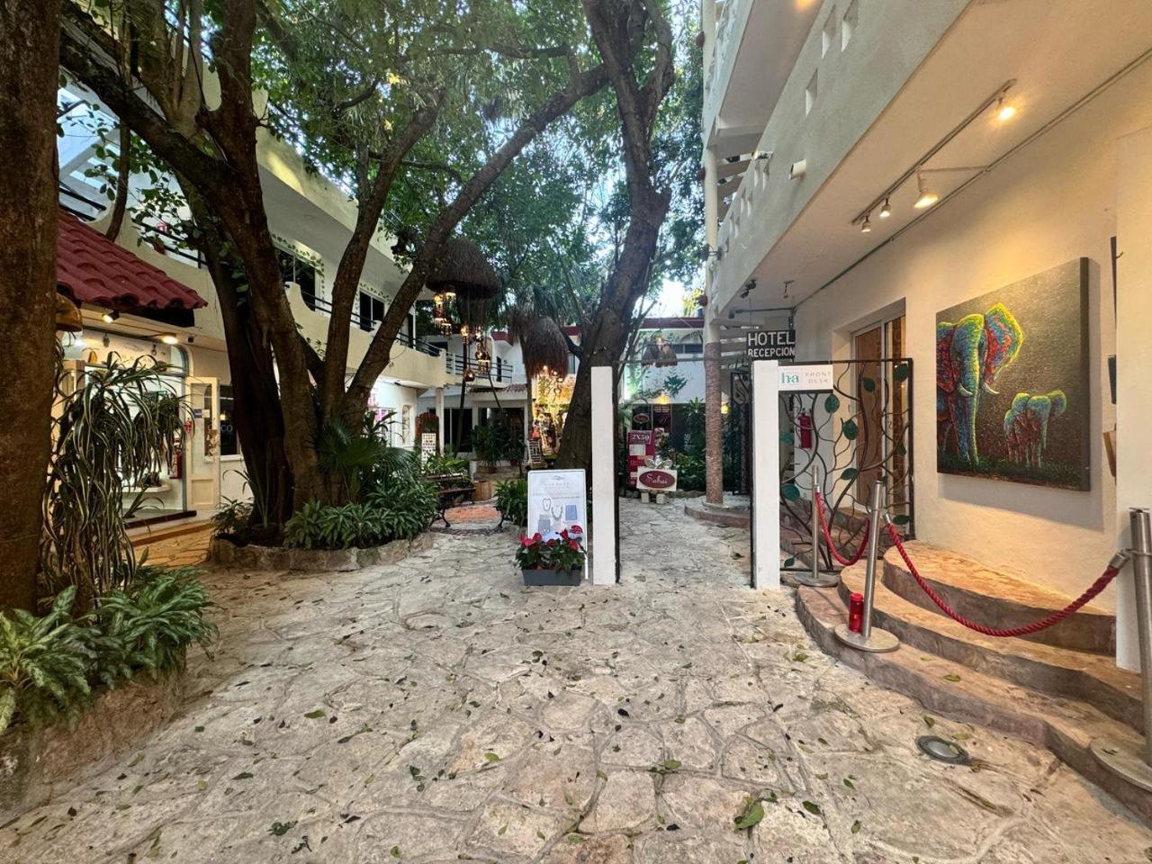 Hotel Ha Garden Gallery - 5Th Avenue 普拉亚卡门 外观 照片