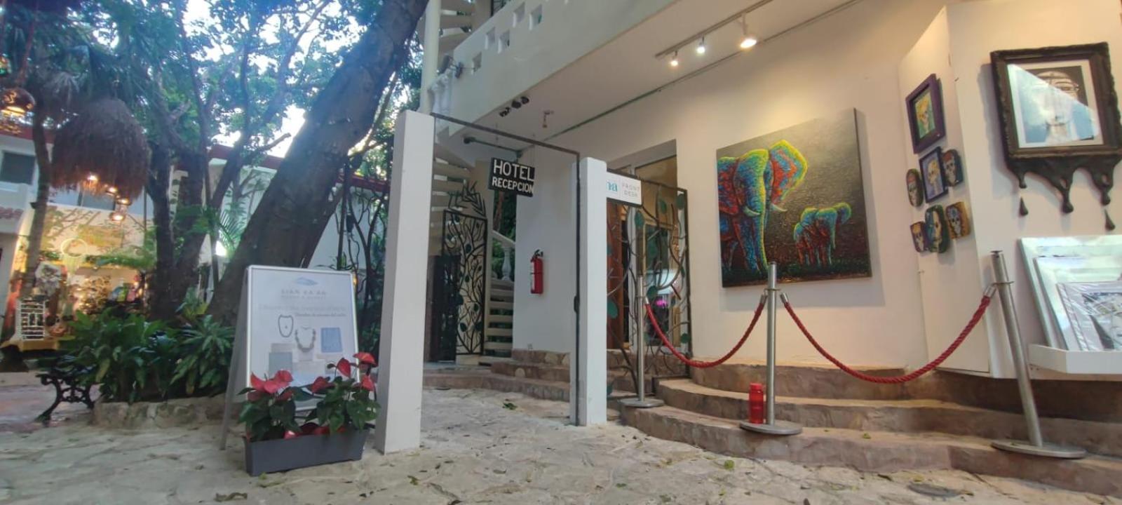 Hotel Ha Garden Gallery - 5Th Avenue 普拉亚卡门 外观 照片